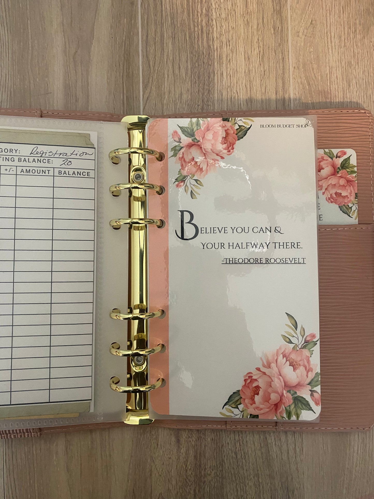 Carnation Ambition Dashboard