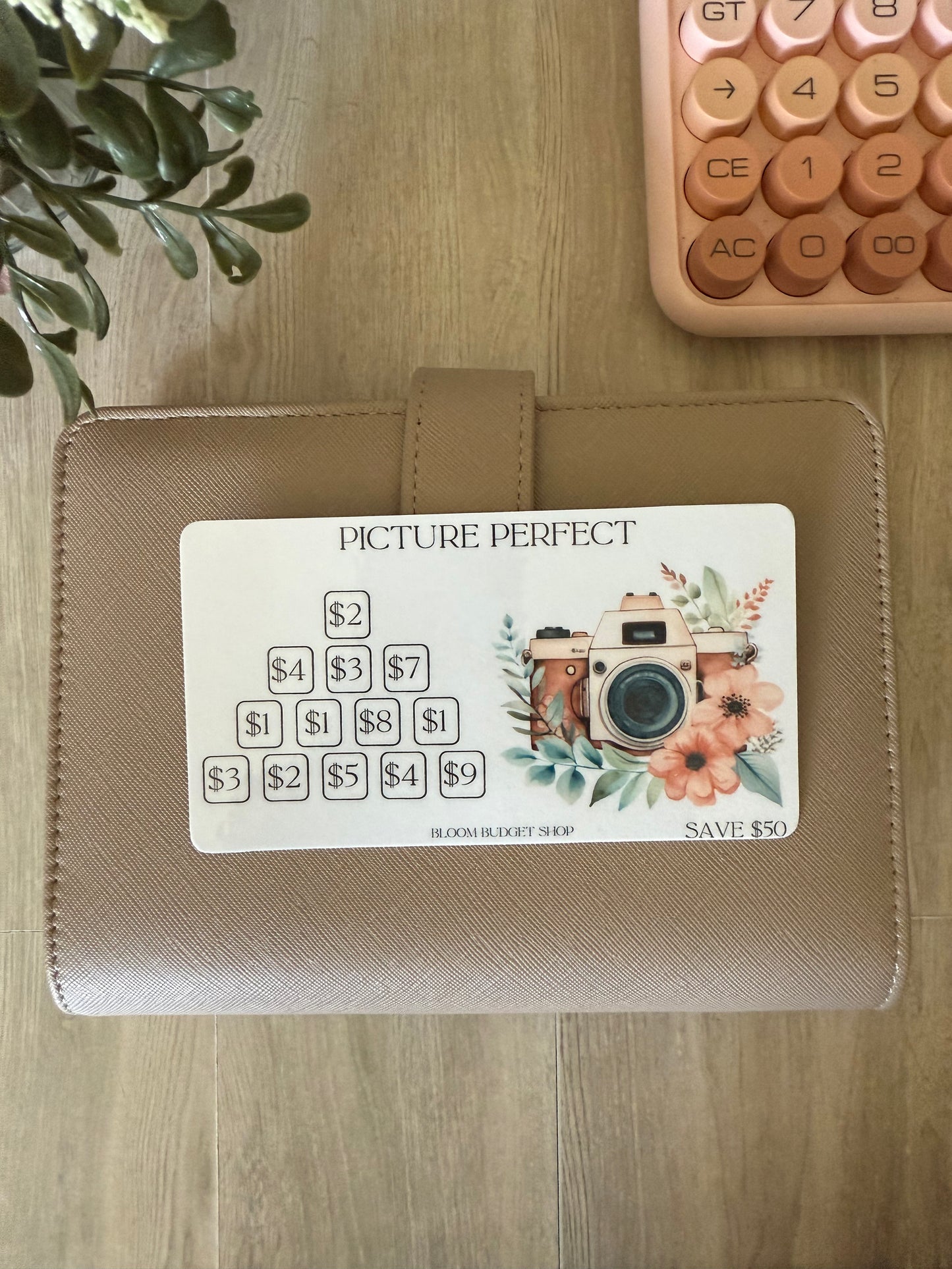 Picture Perfect Savings Challenge