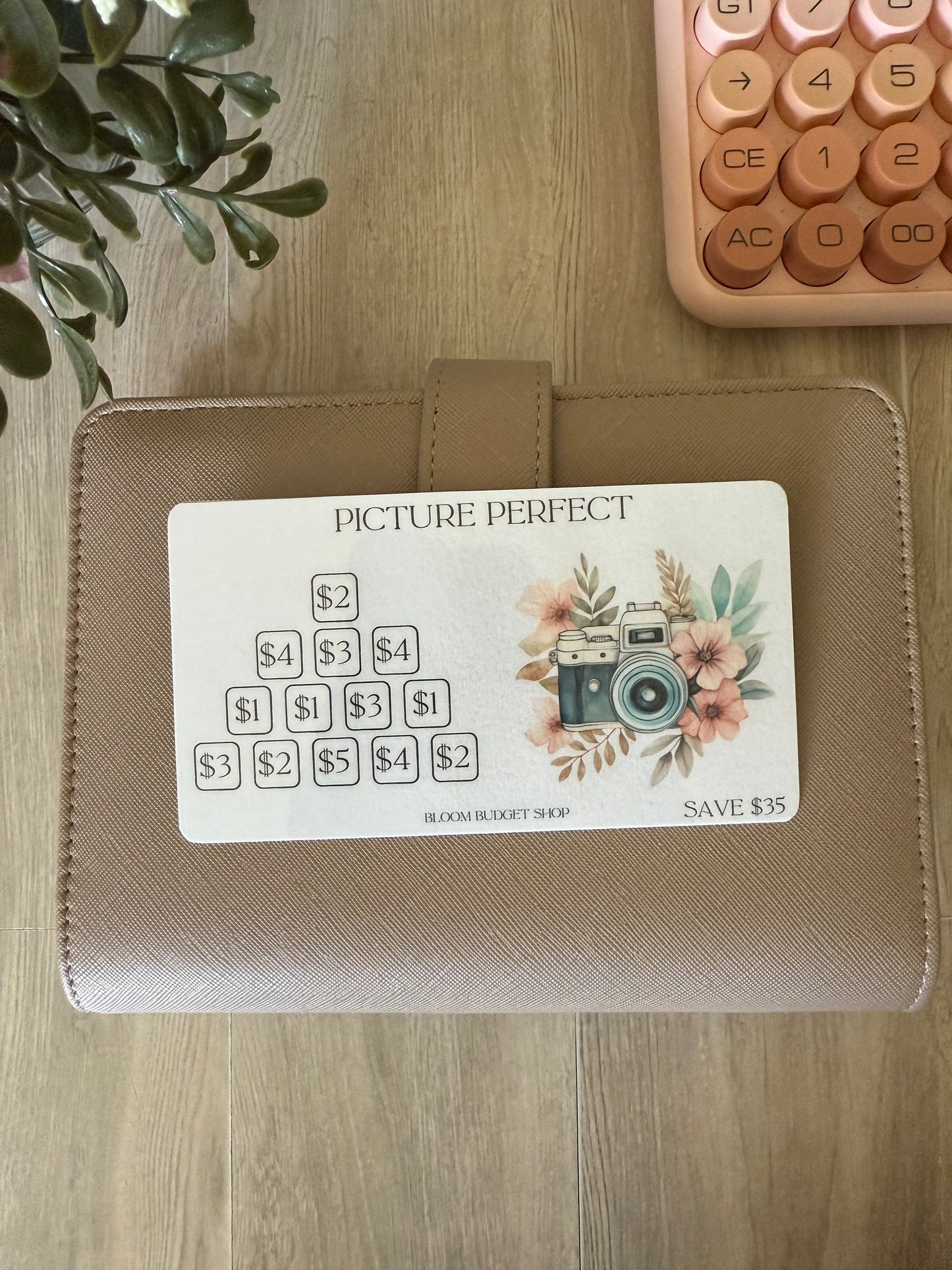 Picture Perfect Savings Challenge