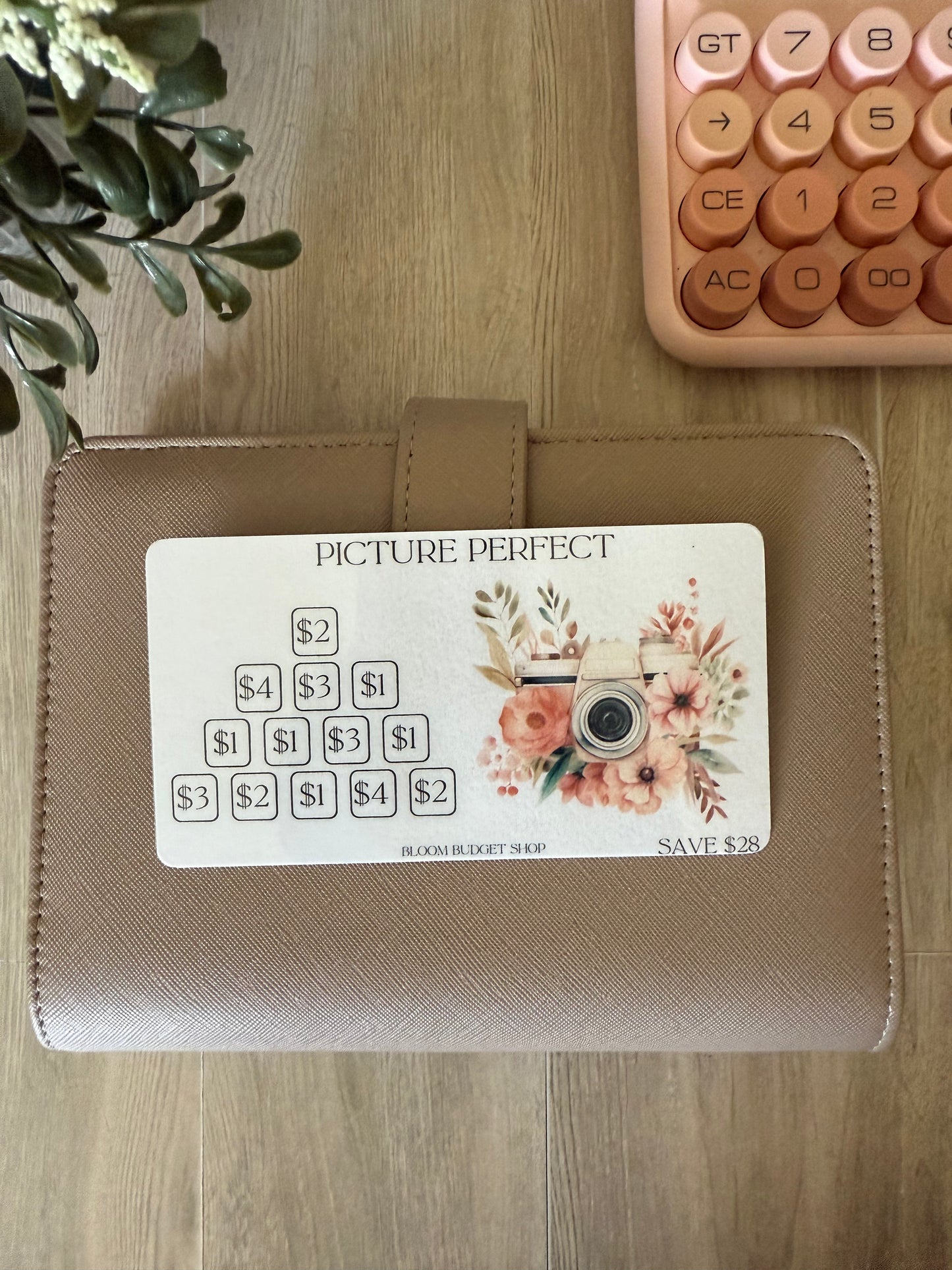 Picture Perfect Savings Challenge