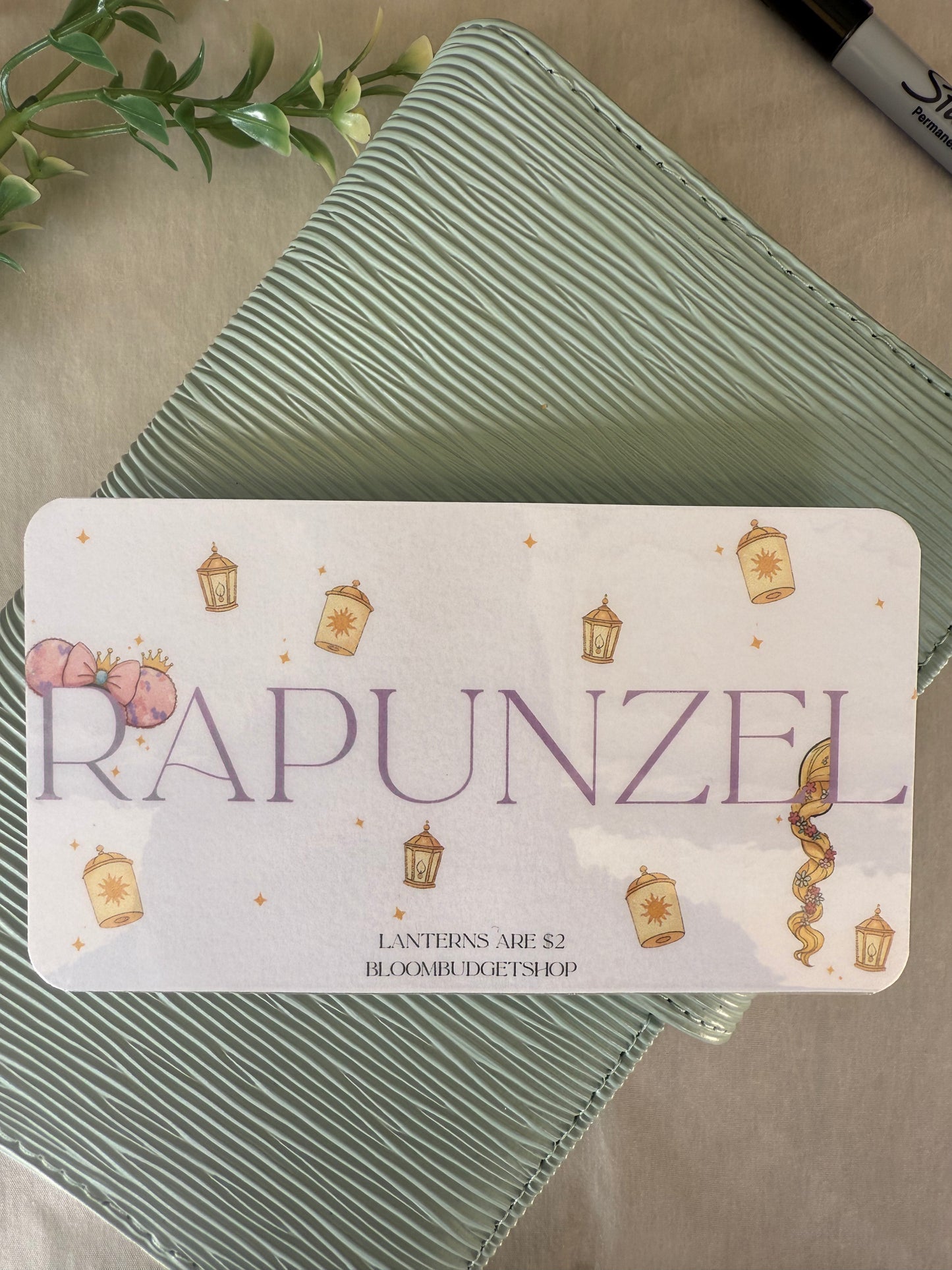 Rapunzel Savings Challenge