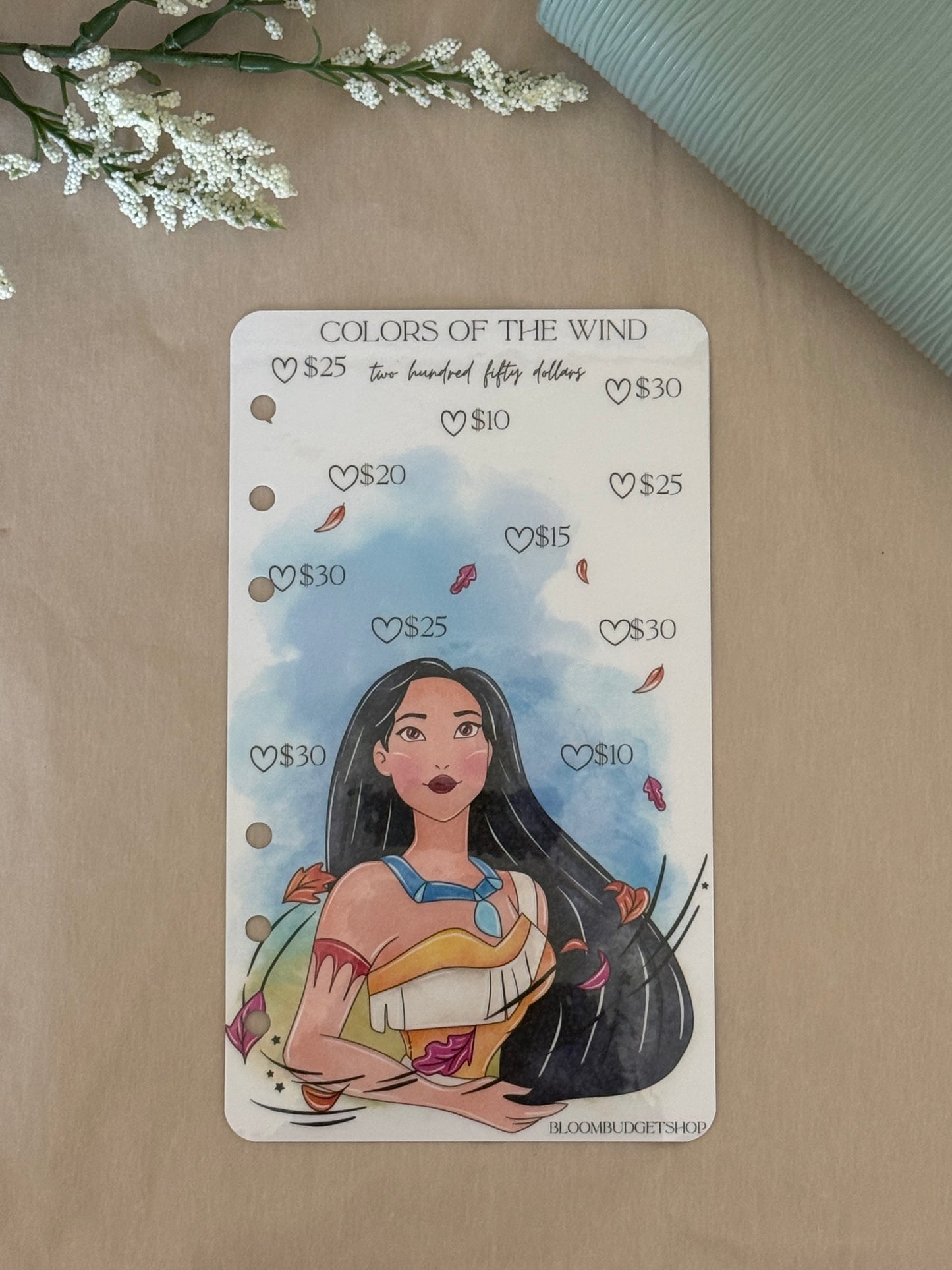 Pocahontas - Savings Challenge