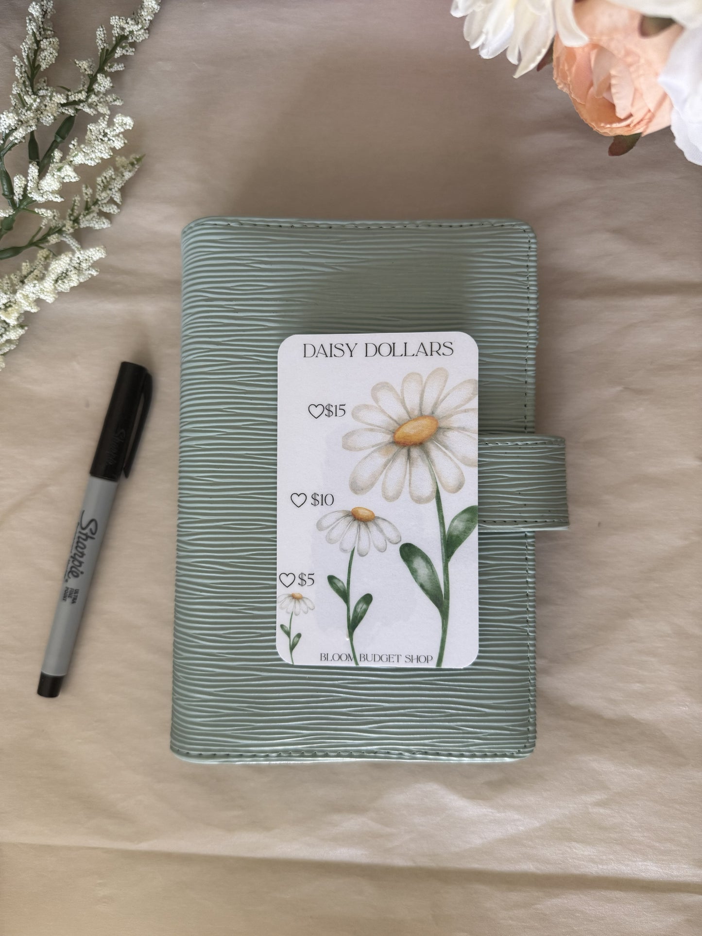 Daisy Dollars Savings Challenge