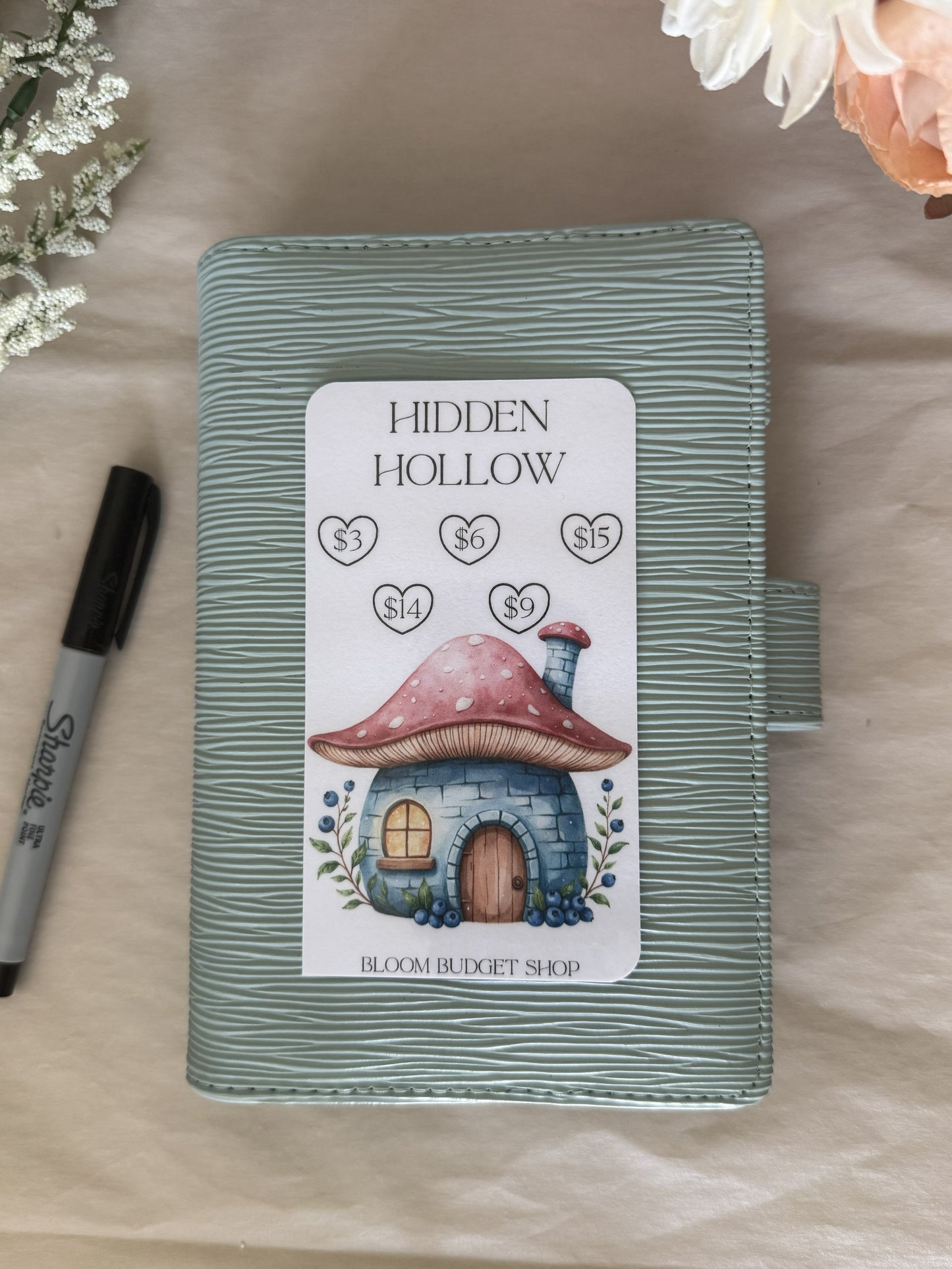 Hidden Hollow Savings Challenge
