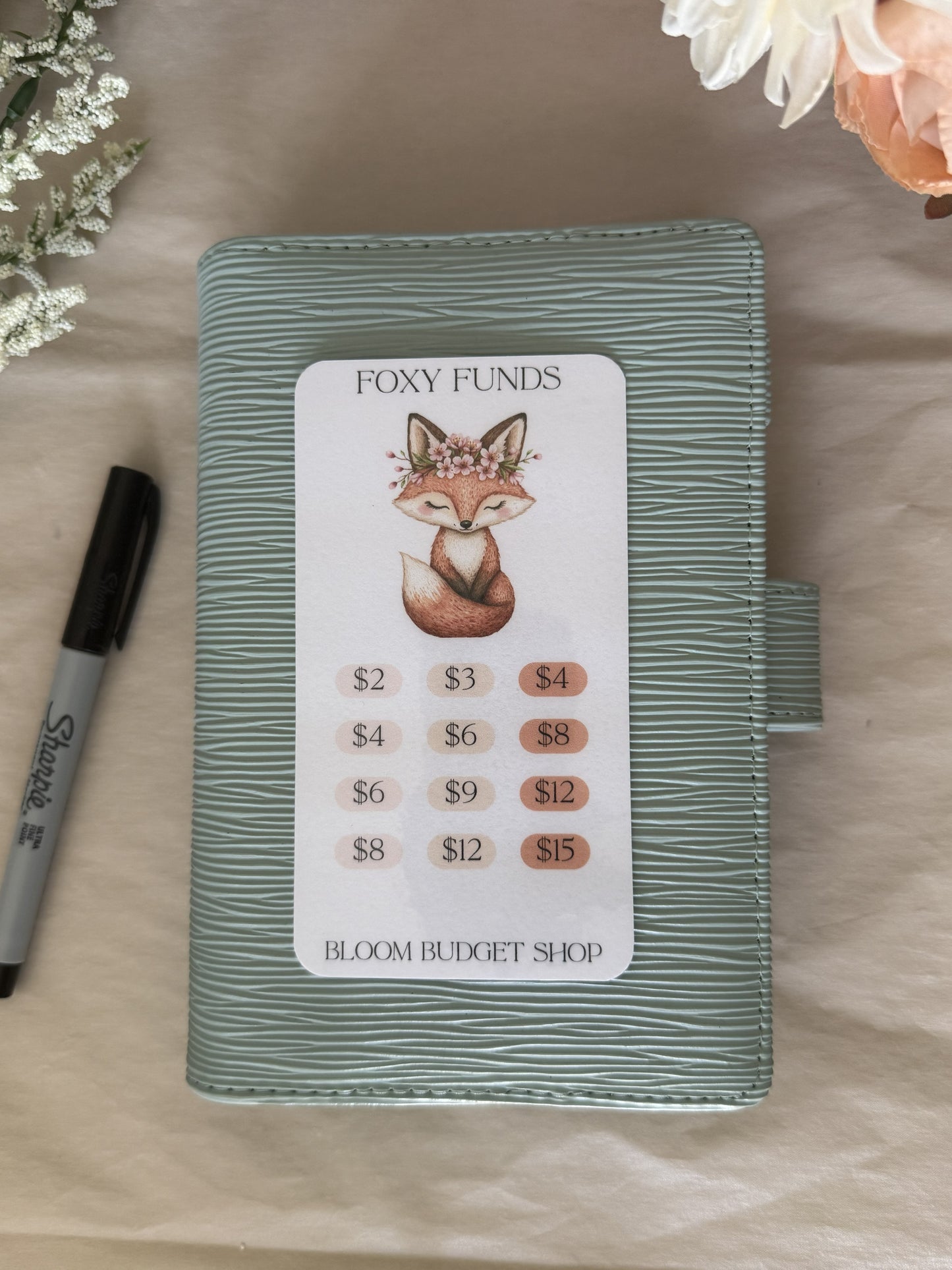 Foxy Funds Savings Challenge