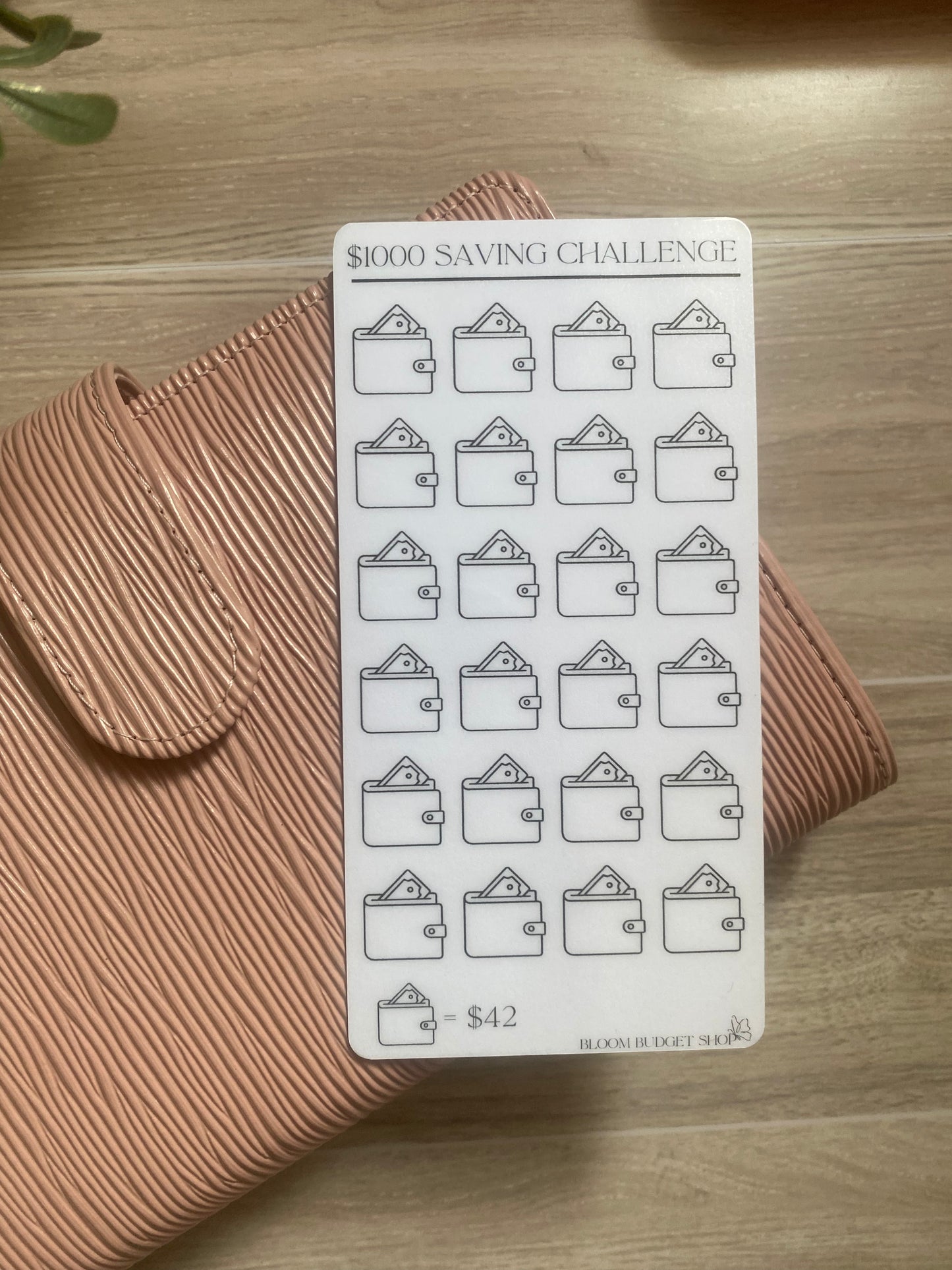$1000 Savings Challenge