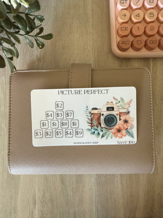 Picture Perfect Savings Challenge