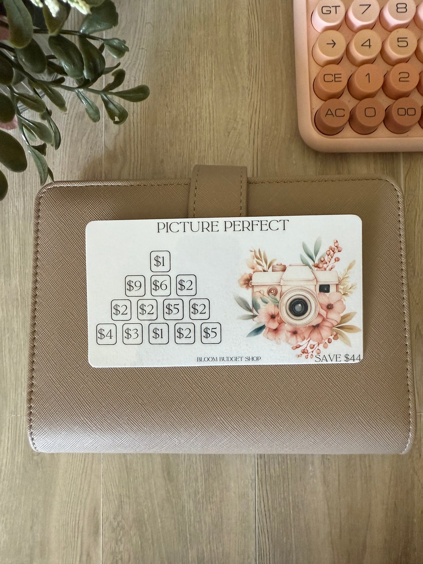 Picture Perfect Savings Challenge