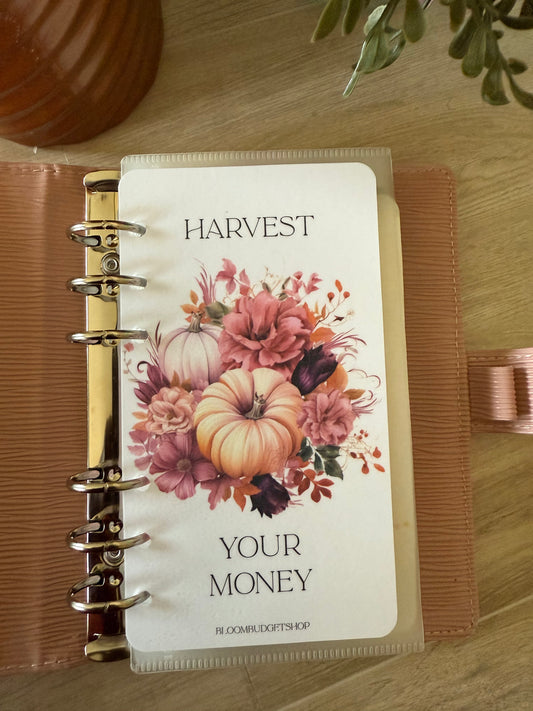 Harvest your Money Dashboard
