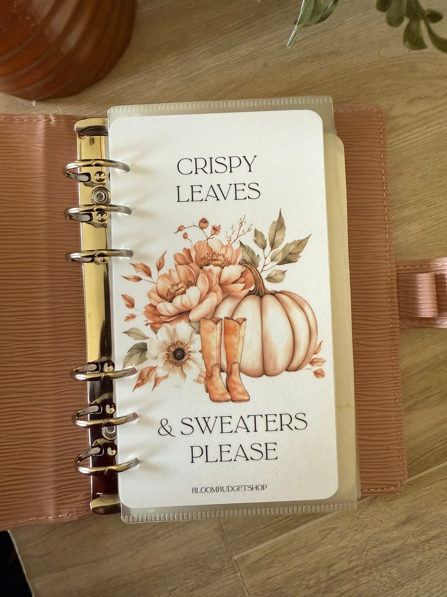 Crispy Leaves & Sweaters Please Dashboard