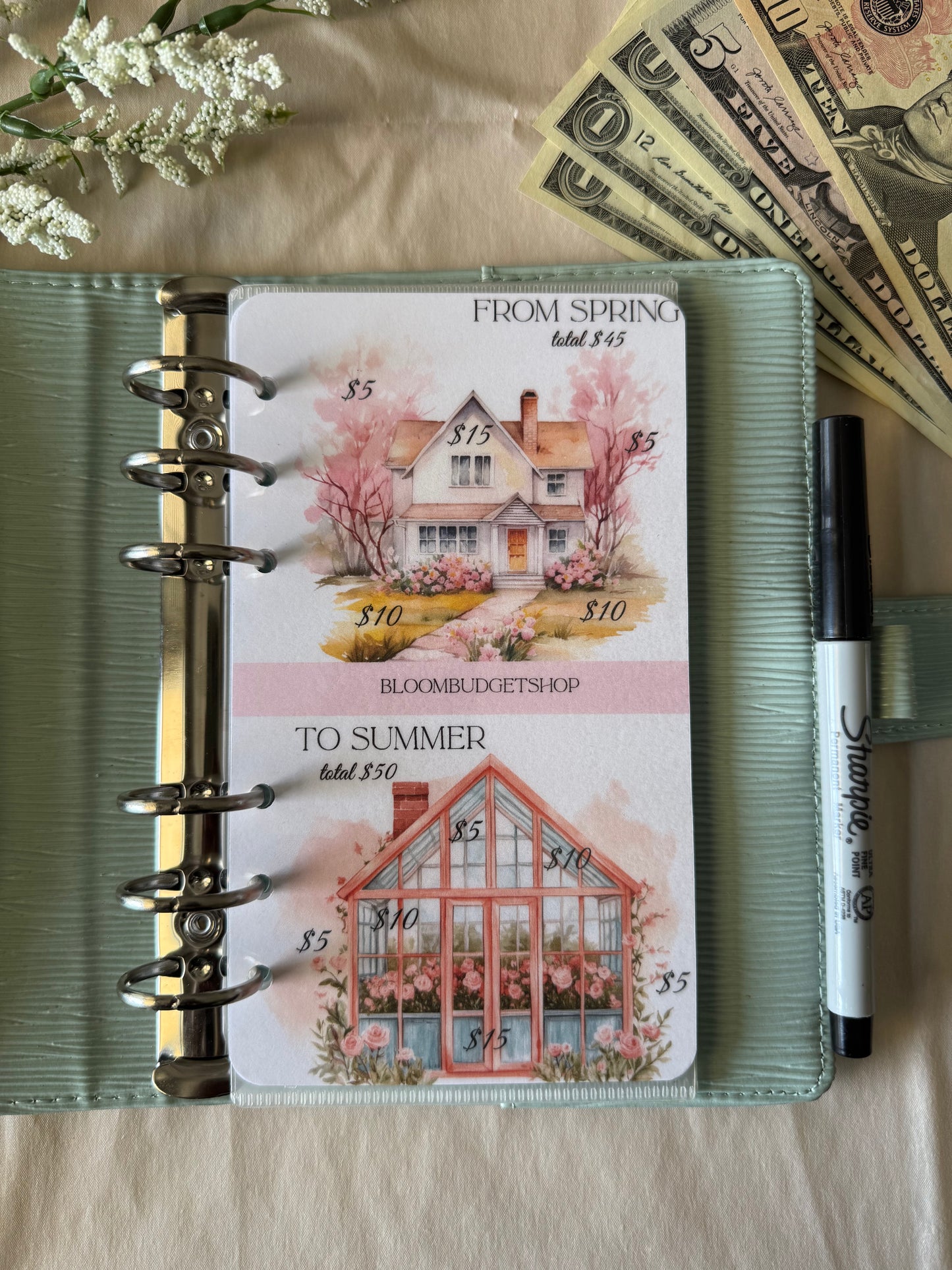 From Spring to Summer Savings Challenge