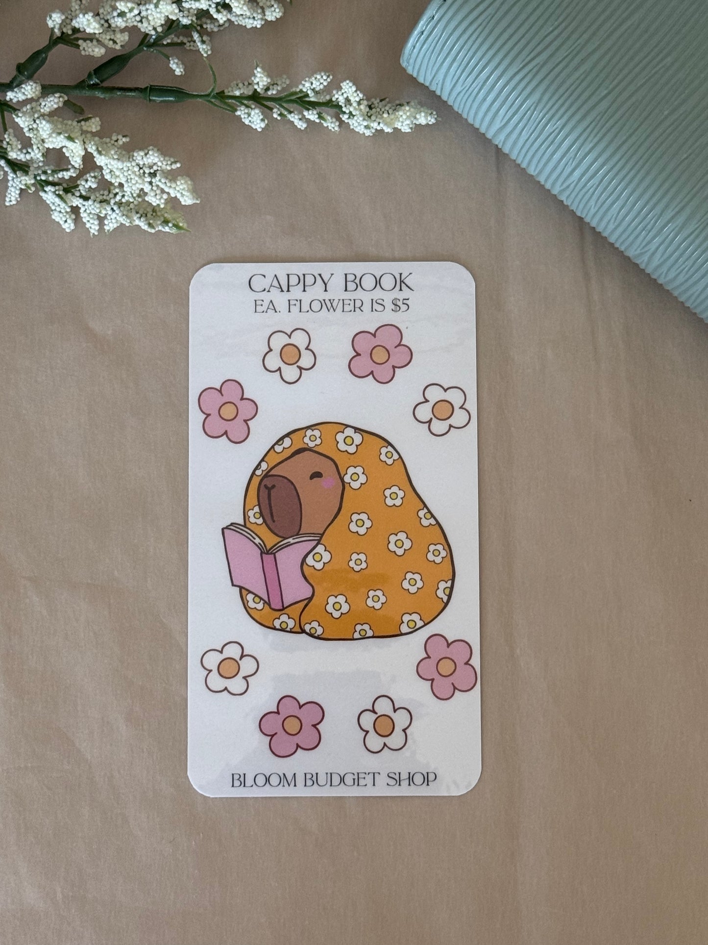 Cappy Book Savings Challenge