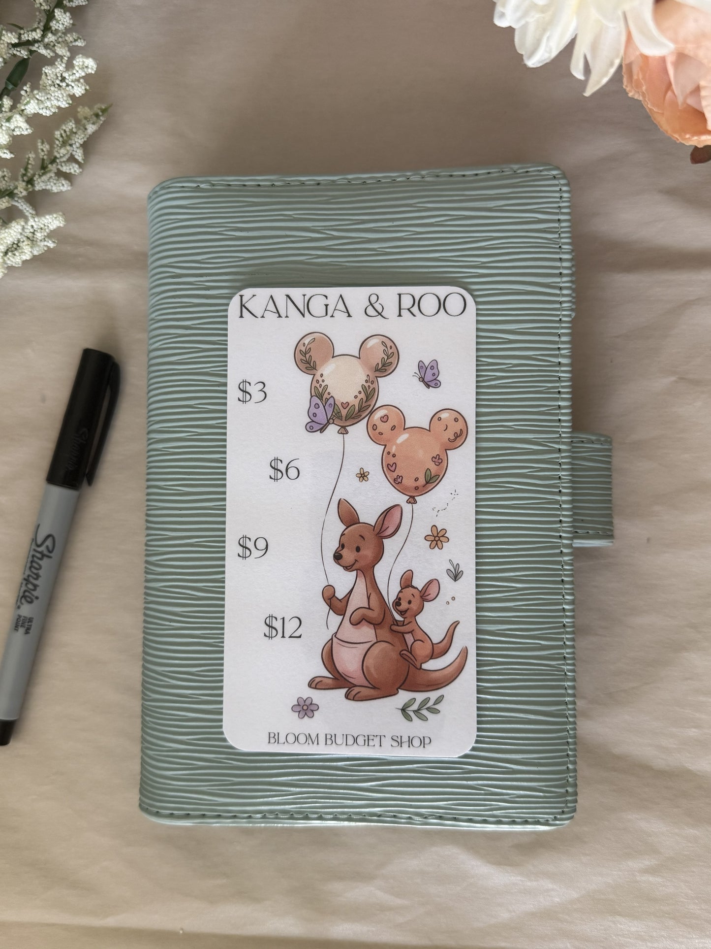 Kanga & Roo Savings Challenge