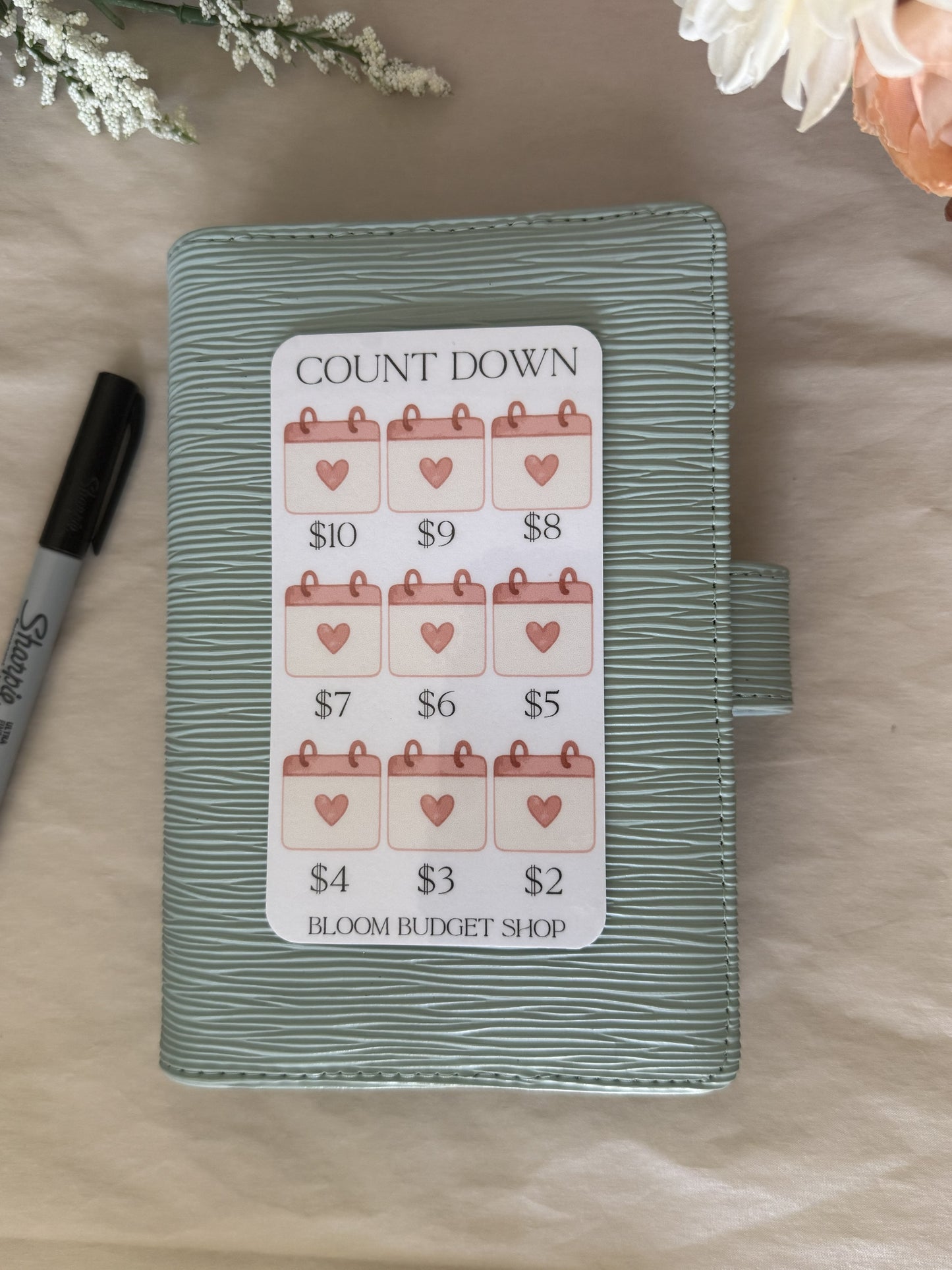 Count Down savings Challenge