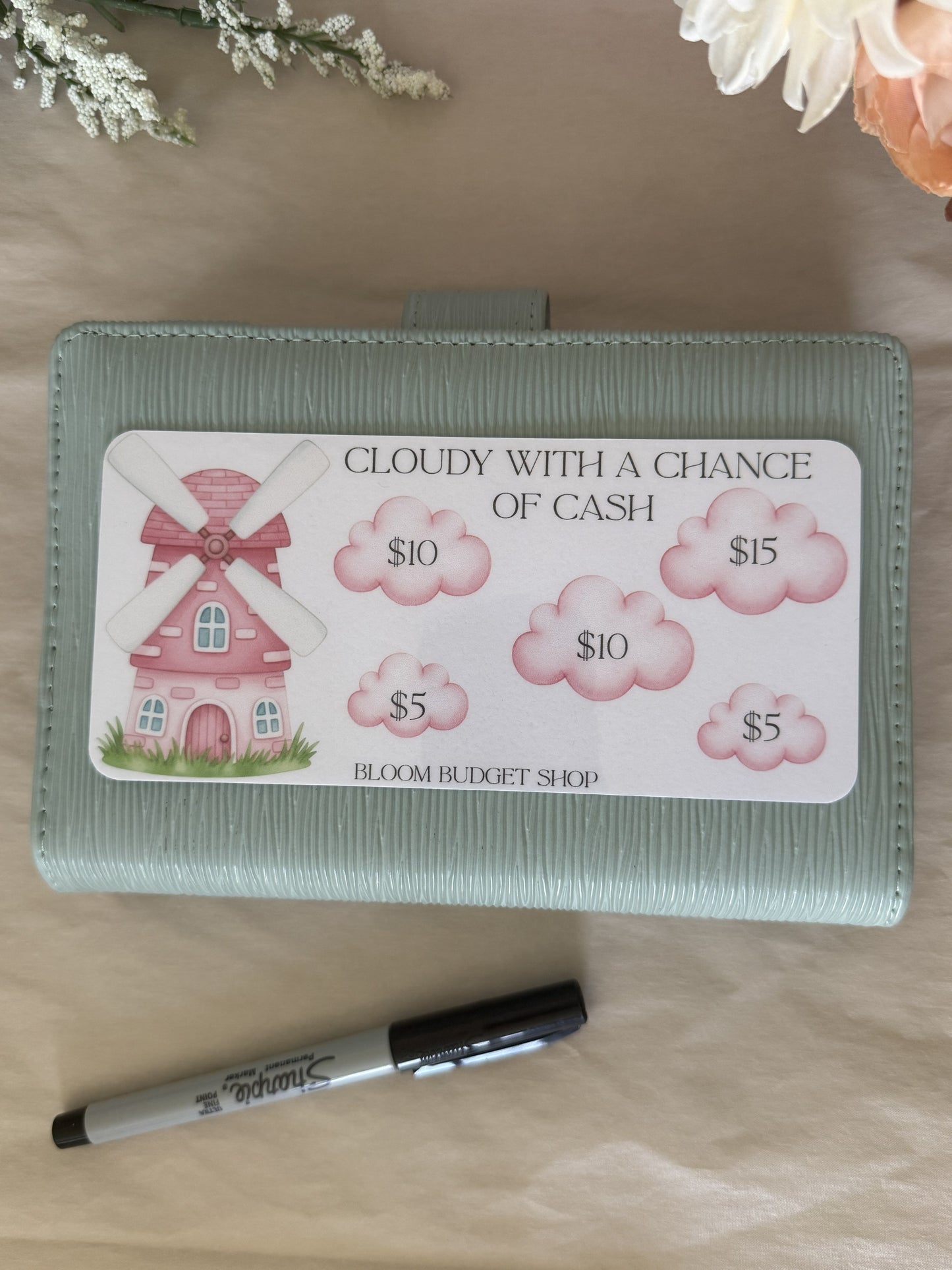 Cloudy with a Chance of Cash