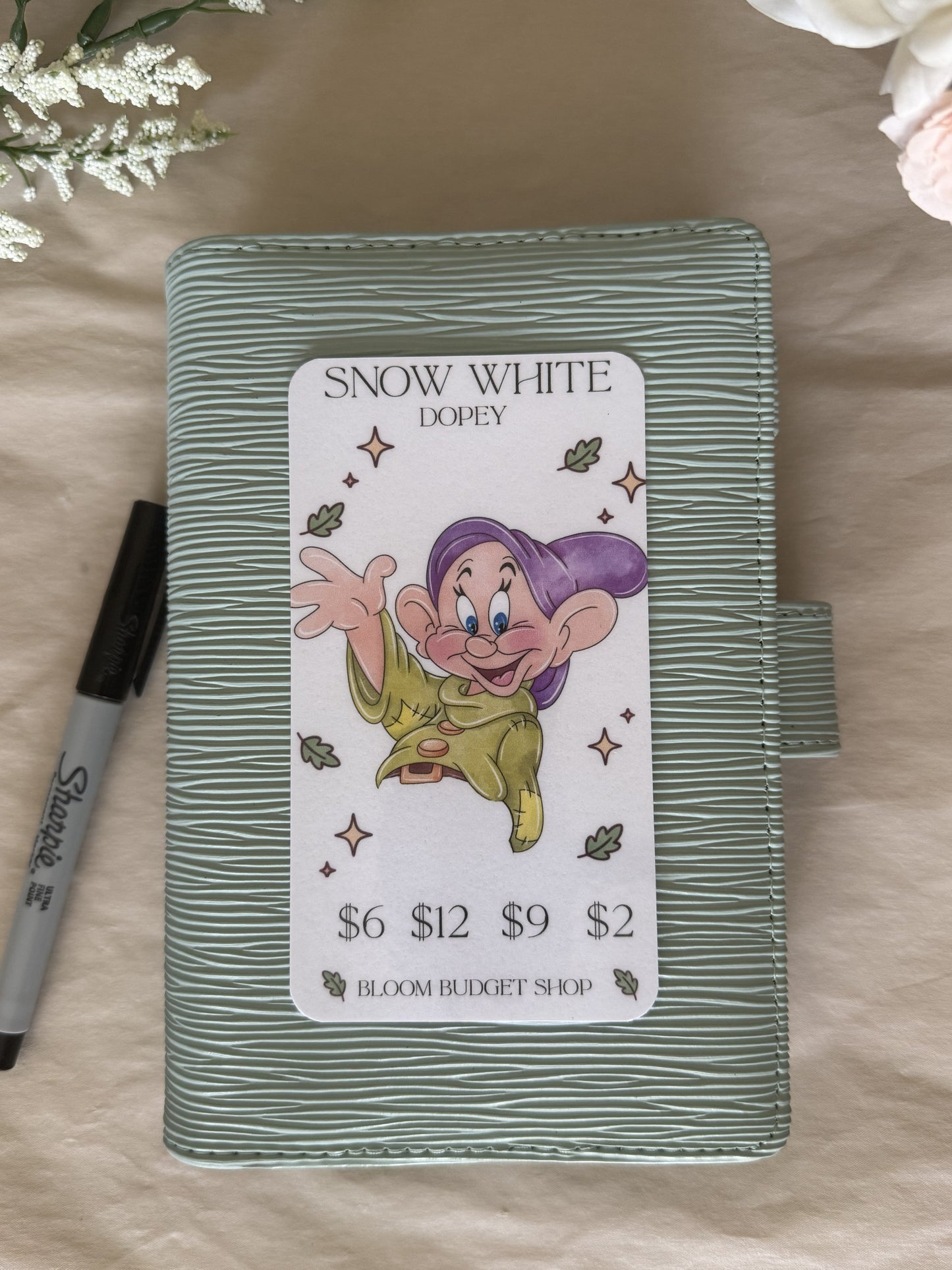 Princess Sidekick Challenges