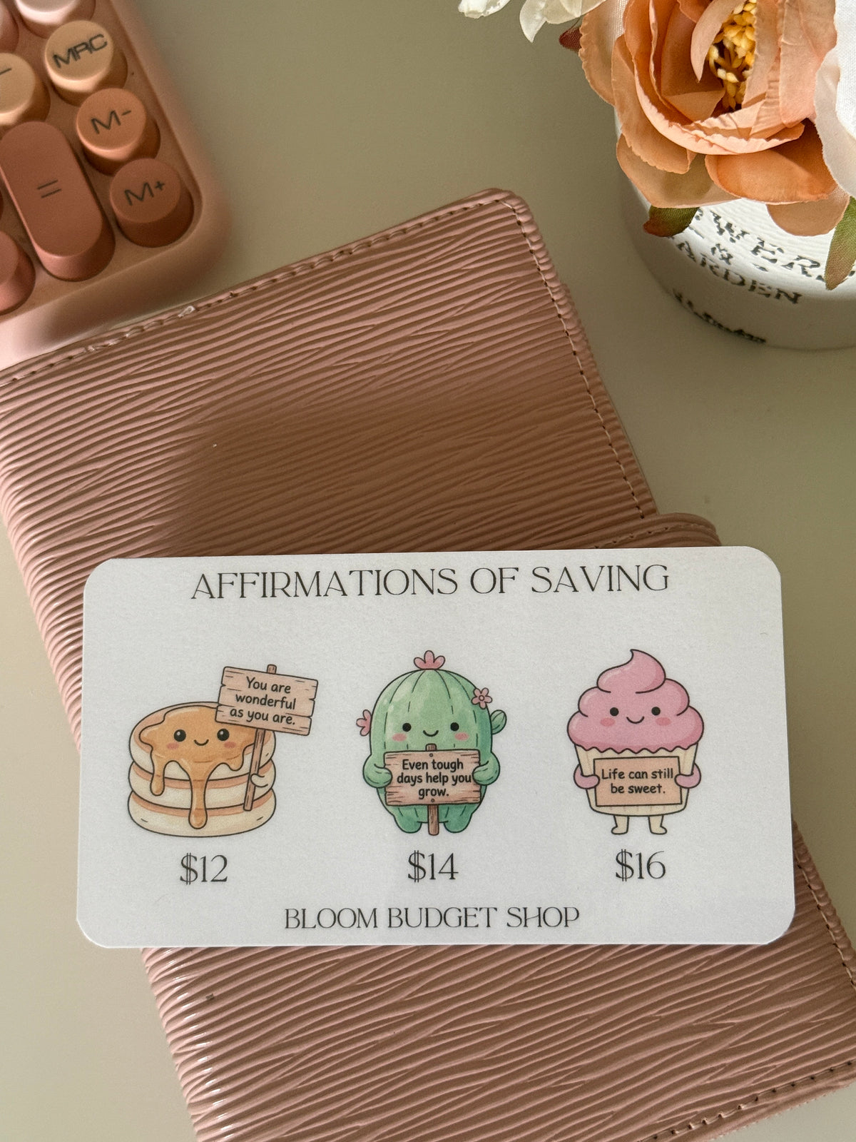 Affirmation of Saving A6