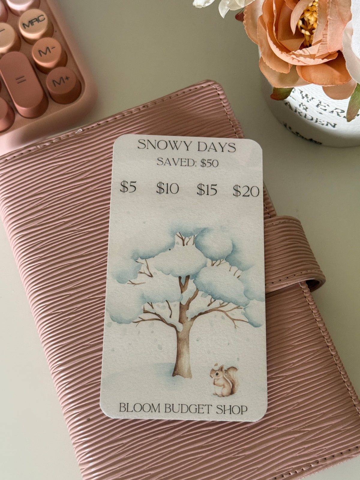 Snowy Days Savings Challenge